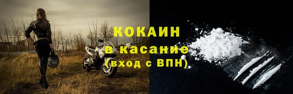 ГАЛЛЮЦИНОГЕННЫЕ ГРИБЫ Арсеньев