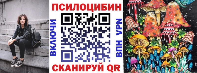 блэк спрут онион  Сольвычегодск  Псилоцибиновые грибы Psilocybe 